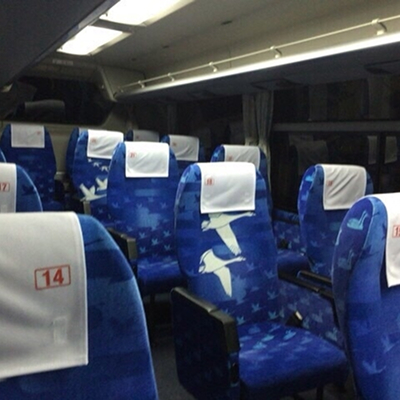 電車やバス、飛行機に乗れない